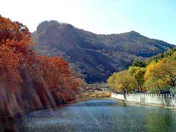 新澳天天开奖资料大全旅游团，苹果 电影